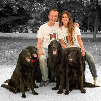 Il Natale a Milano è 'pet friendly', apre il primo villaggio per cani Il Natale a Milano è 'pet friendly', apre il primo villaggio per cani